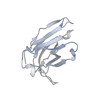 22841_7kew_I_v1-0
Bundibugyo virus GP (mucin deleted) bound to antibody Fab BDBV-43