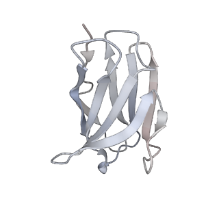 22841_7kew_J_v1-0
Bundibugyo virus GP (mucin deleted) bound to antibody Fab BDBV-43