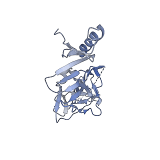 22842_7kex_A_v1-0
Ebola virus GP (mucin deleted, Makona strain) bound to antibody Fab EBOV-293