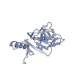 22842_7kex_B_v1-0
Ebola virus GP (mucin deleted, Makona strain) bound to antibody Fab EBOV-293