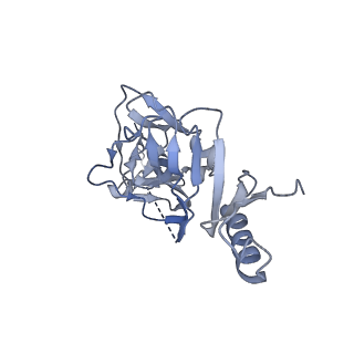 22842_7kex_C_v1-0
Ebola virus GP (mucin deleted, Makona strain) bound to antibody Fab EBOV-293