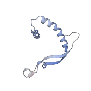 22842_7kex_F_v1-0
Ebola virus GP (mucin deleted, Makona strain) bound to antibody Fab EBOV-293