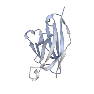 22842_7kex_I_v1-0
Ebola virus GP (mucin deleted, Makona strain) bound to antibody Fab EBOV-293