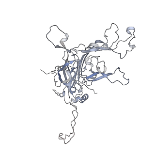 6619_5keq_B_v1-4
High resolution cryo-EM maps of Human papillomavirus 16 reveal L2 location and heparin-induced conformational changes