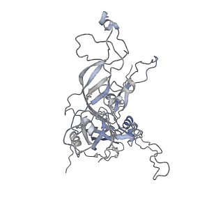 6619_5keq_F_v1-4
High resolution cryo-EM maps of Human papillomavirus 16 reveal L2 location and heparin-induced conformational changes