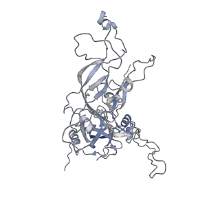 6620_5kep_F_v1-4
High resolution cryo-EM maps of Human Papillomavirus 16 reveal L2 location and heparin-induced conformational changes