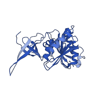 9964_6ke6_3B_v1-0
3.4 angstrom cryo-EM structure of yeast 90S small subunit preribosome