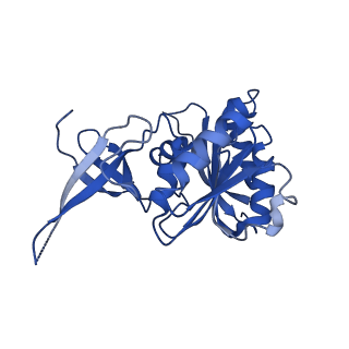 9964_6ke6_3B_v1-1
3.4 angstrom cryo-EM structure of yeast 90S small subunit preribosome