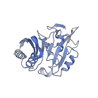 9964_6ke6_3C_v1-0
3.4 angstrom cryo-EM structure of yeast 90S small subunit preribosome
