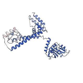 9964_6ke6_3D_v1-1
3.4 angstrom cryo-EM structure of yeast 90S small subunit preribosome