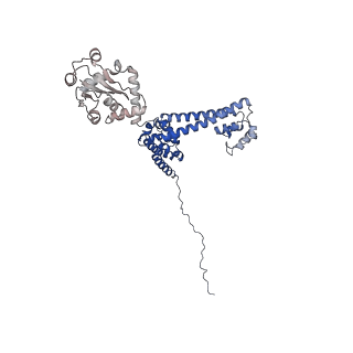 9964_6ke6_3E_v1-1
3.4 angstrom cryo-EM structure of yeast 90S small subunit preribosome