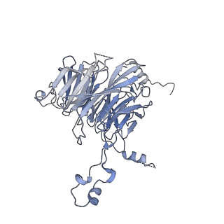 9964_6ke6_3F_v1-0
3.4 angstrom cryo-EM structure of yeast 90S small subunit preribosome