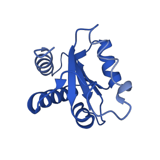 9964_6ke6_3G_v1-0
3.4 angstrom cryo-EM structure of yeast 90S small subunit preribosome