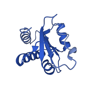 9964_6ke6_3G_v1-1
3.4 angstrom cryo-EM structure of yeast 90S small subunit preribosome