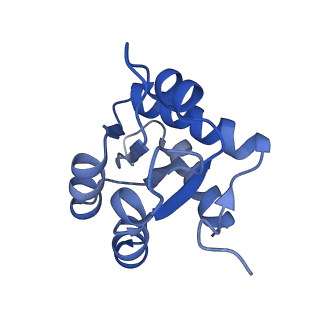 9964_6ke6_3H_v1-0
3.4 angstrom cryo-EM structure of yeast 90S small subunit preribosome