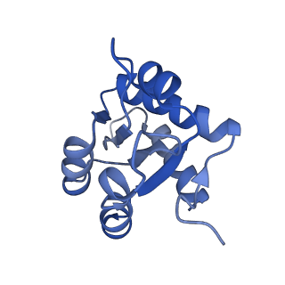 9964_6ke6_3H_v1-1
3.4 angstrom cryo-EM structure of yeast 90S small subunit preribosome