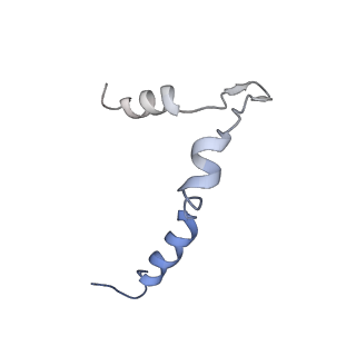 9964_6ke6_5B_v1-0
3.4 angstrom cryo-EM structure of yeast 90S small subunit preribosome