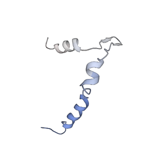 9964_6ke6_5B_v1-1
3.4 angstrom cryo-EM structure of yeast 90S small subunit preribosome