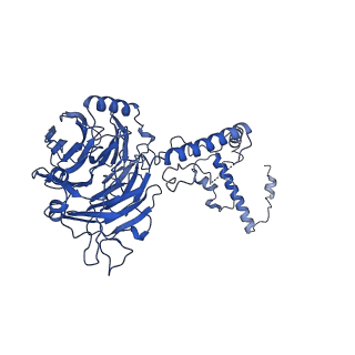 9964_6ke6_5C_v1-1
3.4 angstrom cryo-EM structure of yeast 90S small subunit preribosome