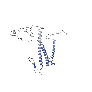 9964_6ke6_5D_v1-0
3.4 angstrom cryo-EM structure of yeast 90S small subunit preribosome