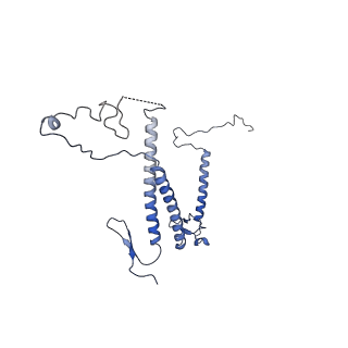 9964_6ke6_5D_v1-1
3.4 angstrom cryo-EM structure of yeast 90S small subunit preribosome