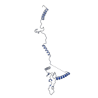 9964_6ke6_5E_v1-0
3.4 angstrom cryo-EM structure of yeast 90S small subunit preribosome