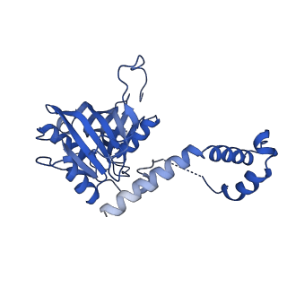 9964_6ke6_5G_v1-0
3.4 angstrom cryo-EM structure of yeast 90S small subunit preribosome