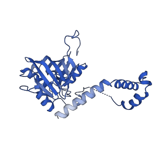 9964_6ke6_5G_v1-1
3.4 angstrom cryo-EM structure of yeast 90S small subunit preribosome