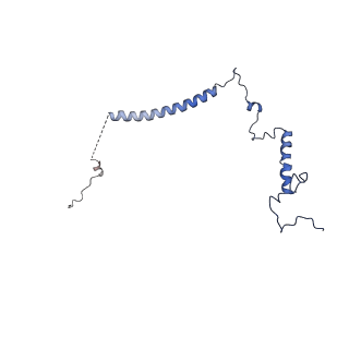 9964_6ke6_5H_v1-1
3.4 angstrom cryo-EM structure of yeast 90S small subunit preribosome