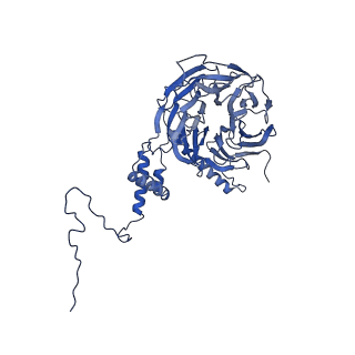 9964_6ke6_5I_v1-0
3.4 angstrom cryo-EM structure of yeast 90S small subunit preribosome