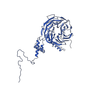 9964_6ke6_5I_v1-1
3.4 angstrom cryo-EM structure of yeast 90S small subunit preribosome