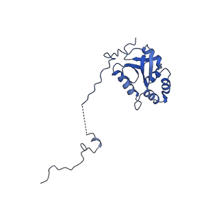 9964_6ke6_5K_v1-1
3.4 angstrom cryo-EM structure of yeast 90S small subunit preribosome