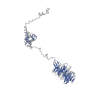9964_6ke6_A5_v1-0
3.4 angstrom cryo-EM structure of yeast 90S small subunit preribosome