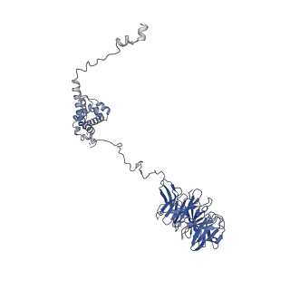 9964_6ke6_A5_v1-1
3.4 angstrom cryo-EM structure of yeast 90S small subunit preribosome