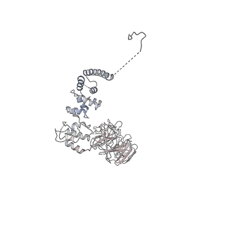 9964_6ke6_A8_v1-0
3.4 angstrom cryo-EM structure of yeast 90S small subunit preribosome