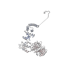 9964_6ke6_A8_v1-1
3.4 angstrom cryo-EM structure of yeast 90S small subunit preribosome