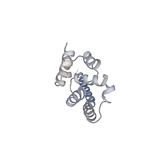 9964_6ke6_A9_v1-0
3.4 angstrom cryo-EM structure of yeast 90S small subunit preribosome