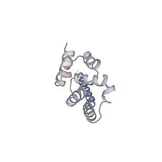 9964_6ke6_A9_v1-1
3.4 angstrom cryo-EM structure of yeast 90S small subunit preribosome