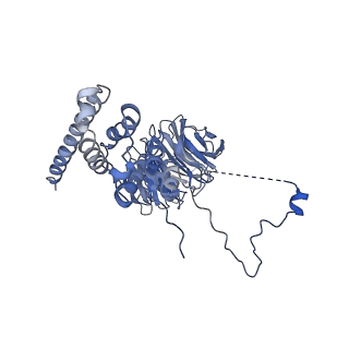 9964_6ke6_AF_v1-0
3.4 angstrom cryo-EM structure of yeast 90S small subunit preribosome