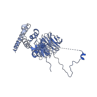 9964_6ke6_AF_v1-1
3.4 angstrom cryo-EM structure of yeast 90S small subunit preribosome