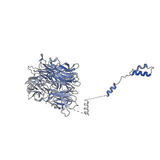 9964_6ke6_AG_v1-1
3.4 angstrom cryo-EM structure of yeast 90S small subunit preribosome