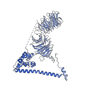 9964_6ke6_B2_v1-0
3.4 angstrom cryo-EM structure of yeast 90S small subunit preribosome