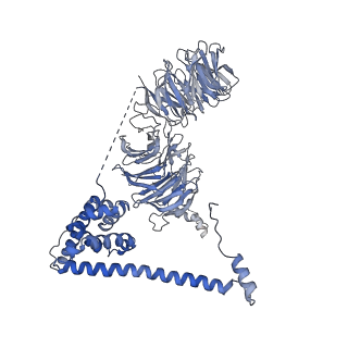 9964_6ke6_B2_v1-1
3.4 angstrom cryo-EM structure of yeast 90S small subunit preribosome