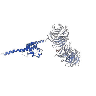 9964_6ke6_B3_v1-1
3.4 angstrom cryo-EM structure of yeast 90S small subunit preribosome