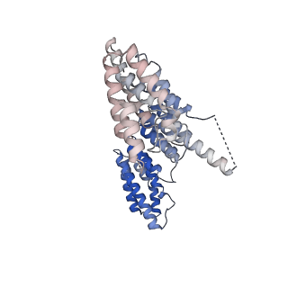 9964_6ke6_B6_v1-0
3.4 angstrom cryo-EM structure of yeast 90S small subunit preribosome