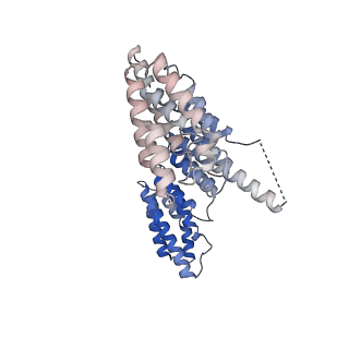 9964_6ke6_B6_v1-1
3.4 angstrom cryo-EM structure of yeast 90S small subunit preribosome