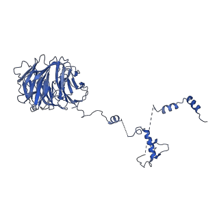 9964_6ke6_B8_v1-1
3.4 angstrom cryo-EM structure of yeast 90S small subunit preribosome