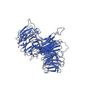 9964_6ke6_BE_v1-0
3.4 angstrom cryo-EM structure of yeast 90S small subunit preribosome