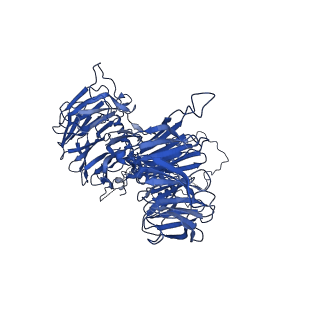 9964_6ke6_BE_v1-1
3.4 angstrom cryo-EM structure of yeast 90S small subunit preribosome