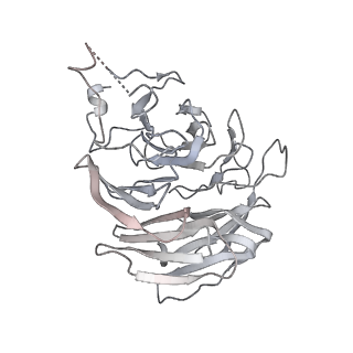 9964_6ke6_RA_v1-0
3.4 angstrom cryo-EM structure of yeast 90S small subunit preribosome
